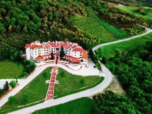 Hôtel la Forêt