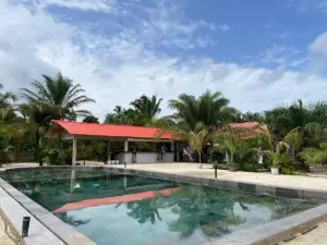 Camping Casamance