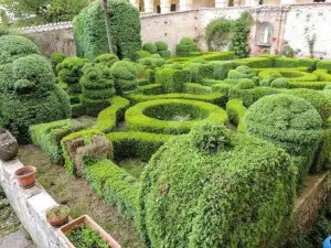 La Piega