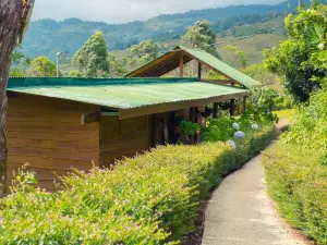 Ecolodge Rain