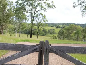 Secluded Luxury Tiny HomeAdventure awaits, Dogs and Horses Welcome