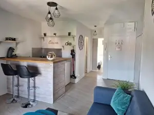 Petit Appartement Charmant Centre Issoire Avec Jolie Vue - WiFi