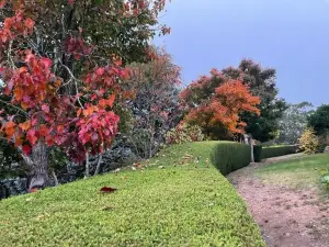 Wyndbourne Park