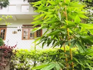 Toropi Homestay