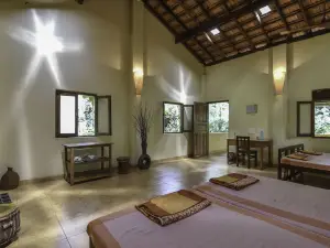 ดัดซาการ์ พลันเทชัน