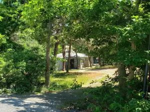 Mid Century 3 bedroom house in private wooded setting...