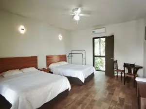 Hotel and Hostel 230