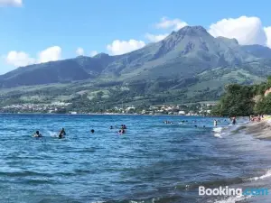Brin D Amour Cote Atlantique Voir Site Vacances en Martinique