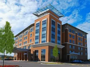 Cambria Hotel Madison East