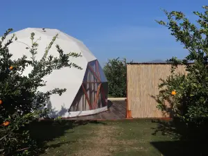 Mandalin Glamping