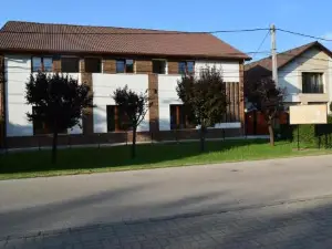 Airport Karoly Central