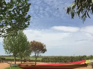 The Picker's Hut - Peaceful vineyard setting