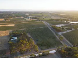 เฟอร์เช บารอสซา วินยาร์ด แอนด์ ไฟร์เพลส