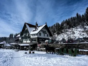 Lobogo Resort