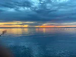 Beautiful Bell Tent Nestled Amidst Trees in Seville, Florida
