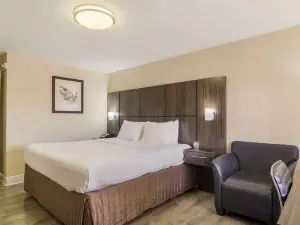 Best Western Bayfront