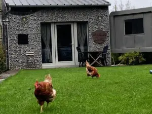 Dailly Chalet Insolite