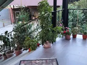 Almaty Guest House