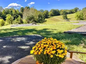 Couples Glamping Tent Near the Buffalo River