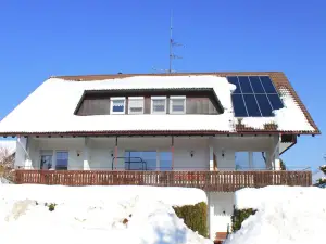 Apartment in Herrischried near forest