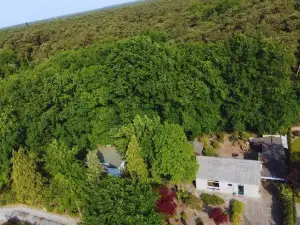 Cozy Forest Cabin, Fenced Garden, Peace & Privacy