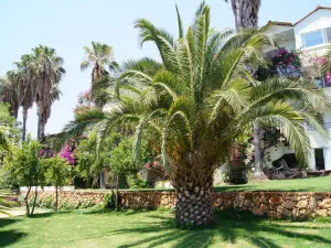 Pataros Hotel