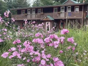 โรงแรมและที่ตั้งแคมป์ Mountain View