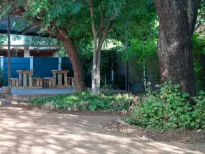 Wilcocks85 Guesthouse