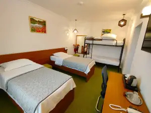 Hotel Comat Deva