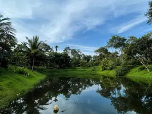 Moonstone Cottage 1BR in Coorg - by Homeyhuts