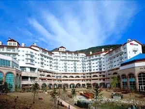 Stx Resort