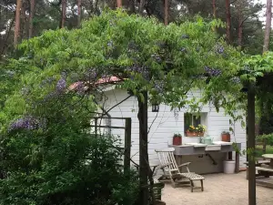 Bungalow in Lille Near Town Center