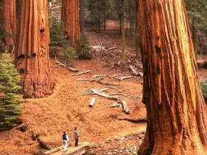Yosemite Park Place