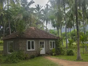 Cotsvilla Topslip