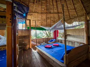 Kactus-Your Island Sanctuary on Koh Ta Kiev