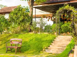 Vân Hòa Phú Yên Homestay Highland