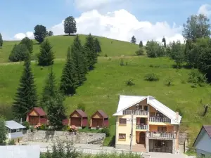 House with 10 Bedrooms in Durău, with Wonderful Mountain View and Enclosed Garden Near the Slopes
