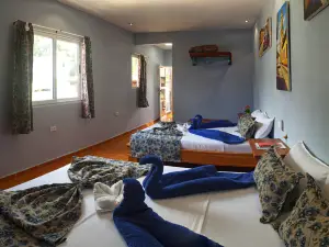 Room with Comfort and Air Condition - Hostal Cristina