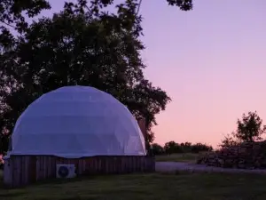 Au Champ de l'Insolite
