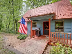 Cozy Blue Ridge Cabin Rental w/ on-Site Stream!