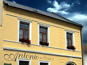 Antonio Old Town Residence