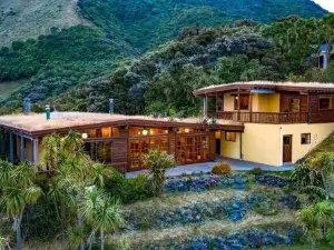 Whare Aroha: Retreat to Wellness