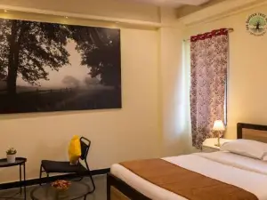The Banyan Tree Adobe