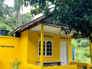 yellow homestay