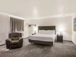 Americas Best Value Inn Birch Run