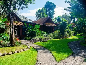 Yoga Art Home