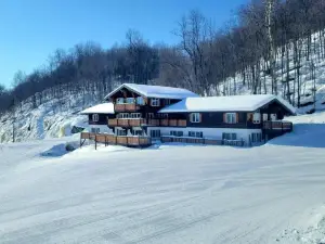 Davos Chalet