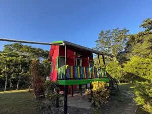 Lower Dover Jungle Lodge & Maya Ruins