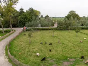 Vrijstaand huisje, dichtbij Kinderdijk