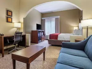 Comfort Inn & Suites Mocksville I-40